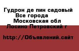 Гудрон де пин садовый - Все города  »    . Московская обл.,Лосино-Петровский г.